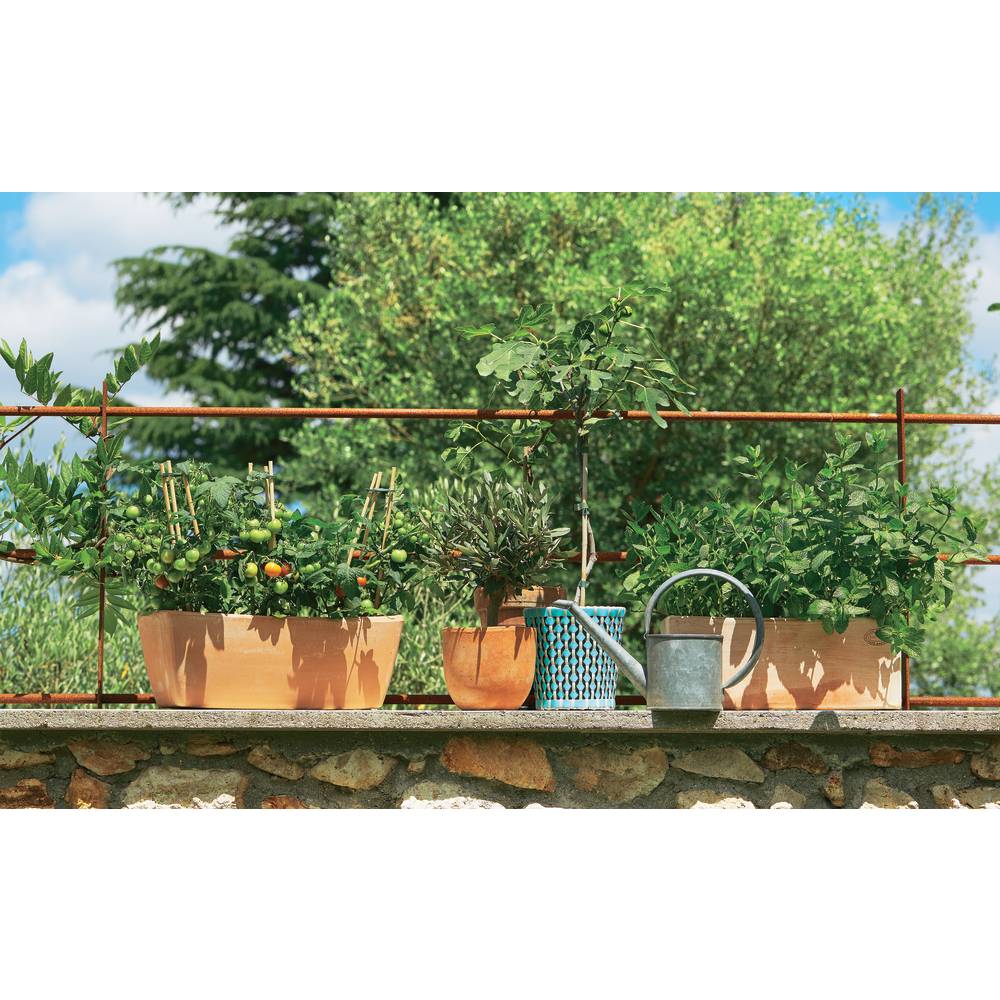 Goicoechea - Jardinière Contemporaine Terre Cuite - GOICOECHEA - Image 4
