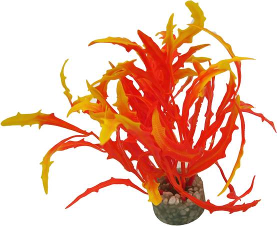 Labéo - Petite plante artificielle, modèle aléatoire - Labéo - Image 2