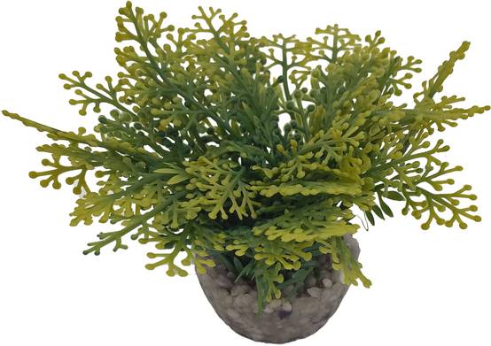 Labéo - Petite plante artificielle, modèle aléatoire - Labéo - Image 5