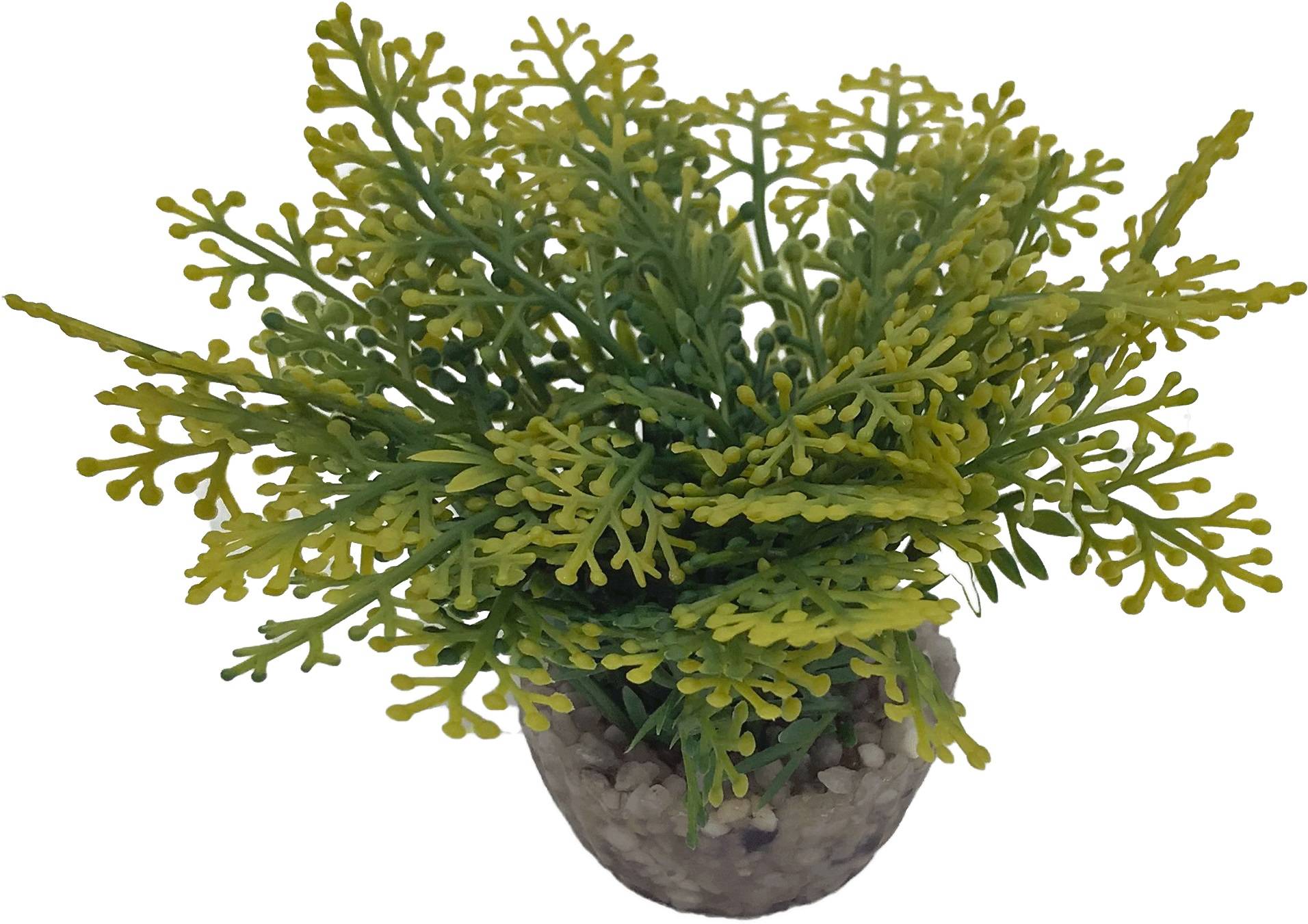 Labéo - Petite plante artificielle, modèle aléatoire - Labéo - Image 5