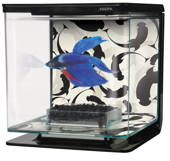 Marina - Aquarium BETTA KIT 2 L YINGYANG - L.15,5 x l.14,5 x H.14 cm