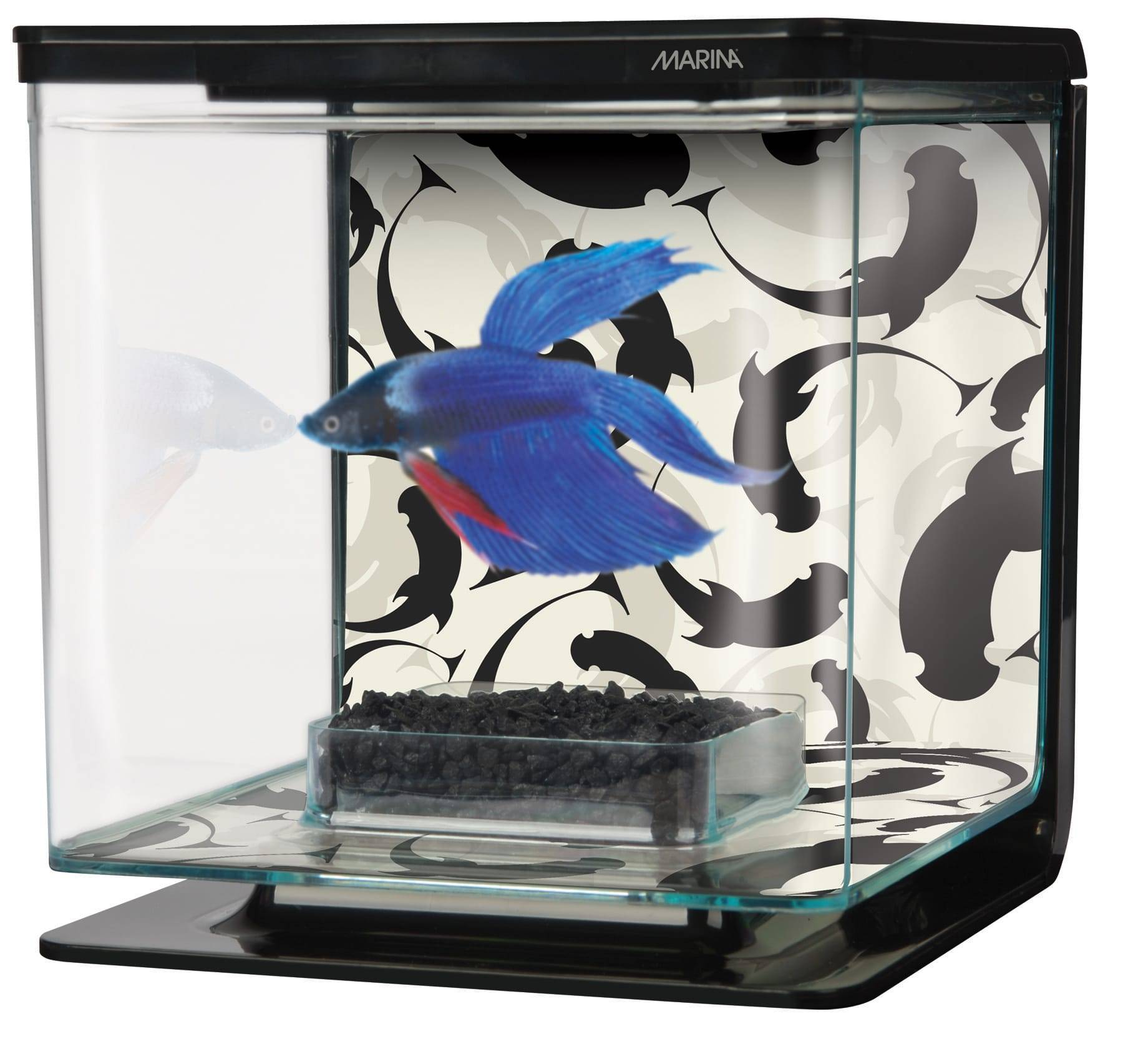 Marina - Aquarium BETTA KIT 2 L YINGYANG - L.15,5 x l.14,5 x H.14 cm