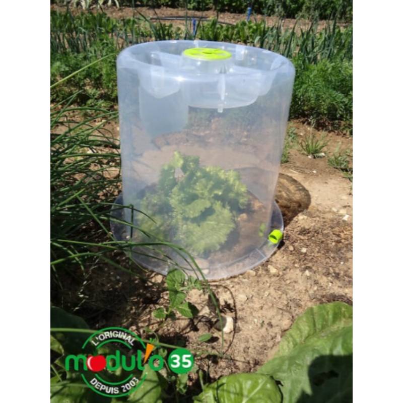 Modul'o - Mini serre ronde à forcer - Modul'O 35 - Imagen 4