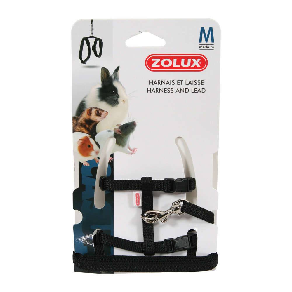 Zolux - Kit Harnais et Laisse - ZOLUX
