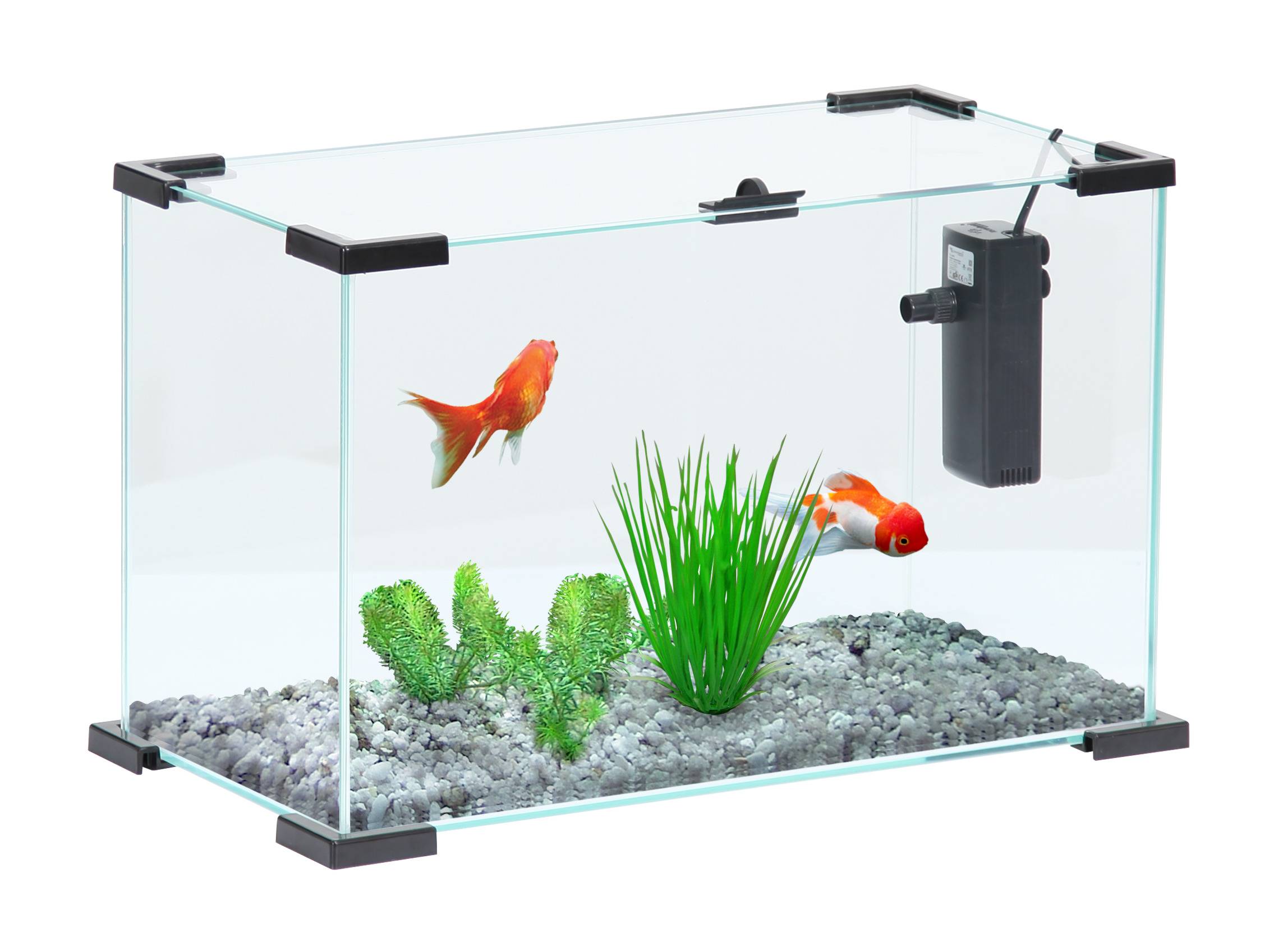 Zolux - Nanolife First 20 - Negro - L.40 x l.20,8 x H.25,6 cm - Imagen 1