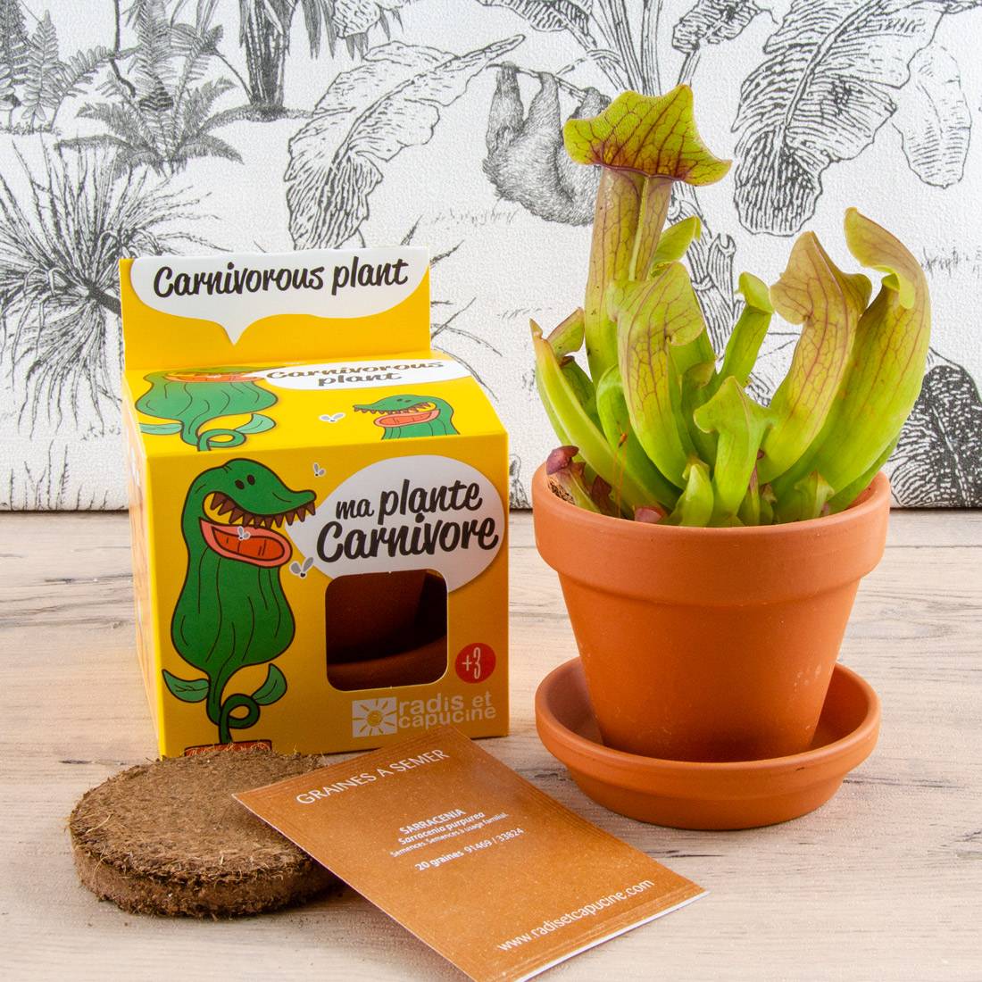 Radis et Capucine - Kit plante carnivore - RADIS ET CAPUCINE