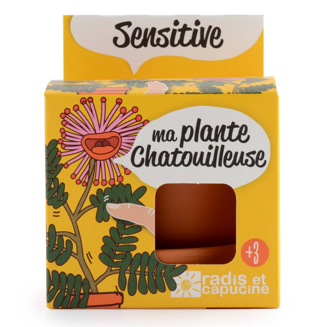Radis et Capucine - Pot 8 cm avec coupelle Mimosa Pudica - Radis et Capucine - Image 2