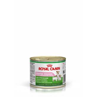 Royal Canin - Aliment Chien Starter Mousse - ROYAL CANIN
