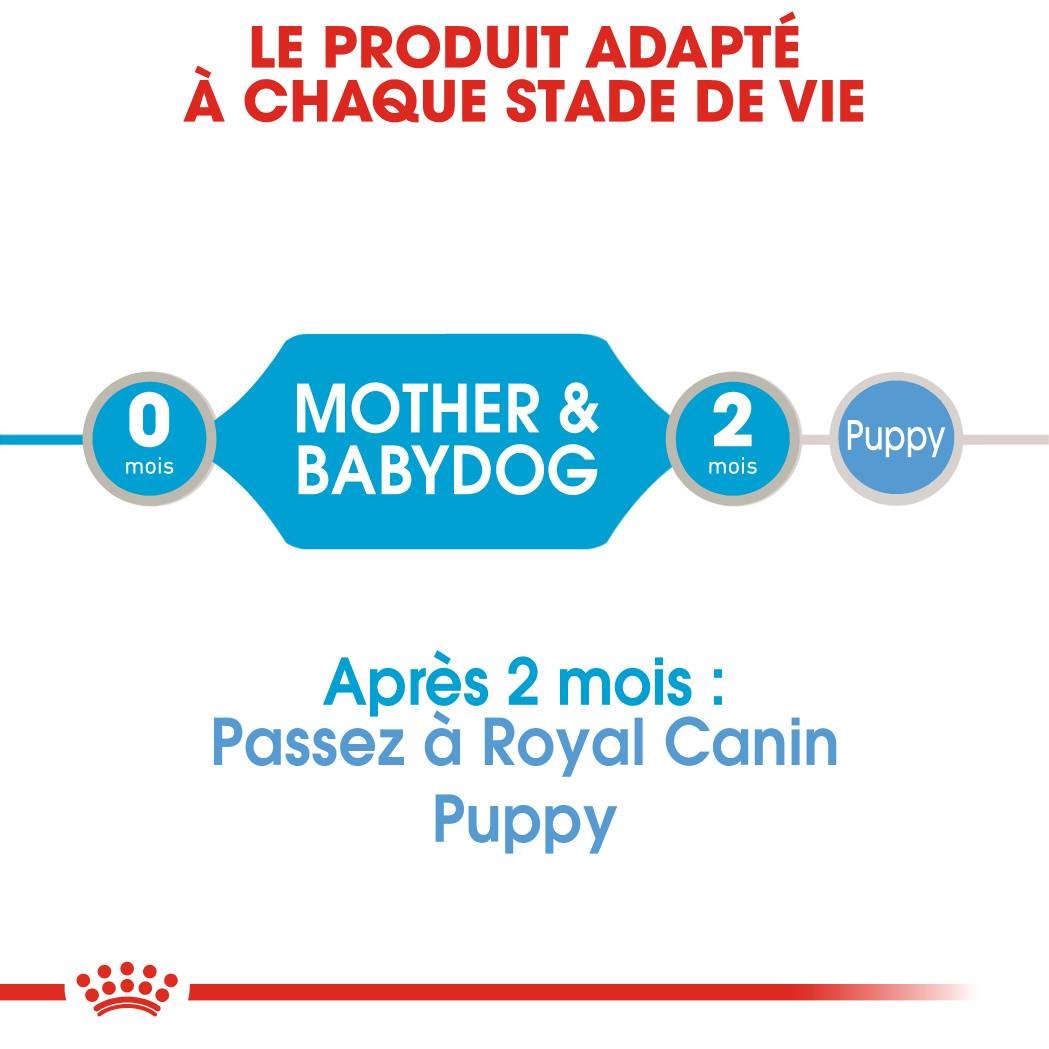 Royal Canin - Aliment Chien Starter Mousse - ROYAL CANIN - Imagen 6