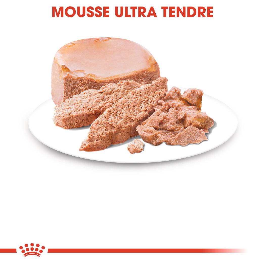 Royal Canin - Aliment Chien Starter Mousse - ROYAL CANIN - Imagen 4