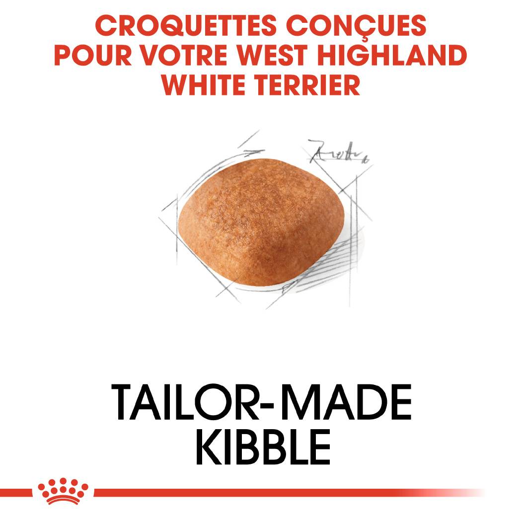 Royal Canin - Croquettes Chien Westie Adulte - ROYAL CANIN - Image 2