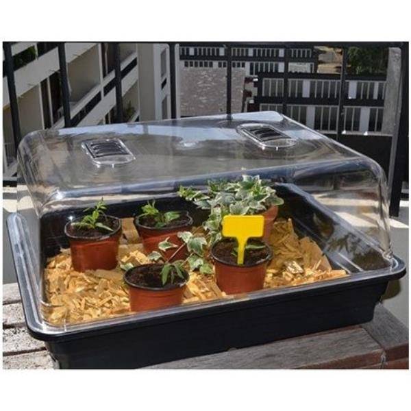 Nortène - Mini serre pour semis NORTENE Rapid Grow