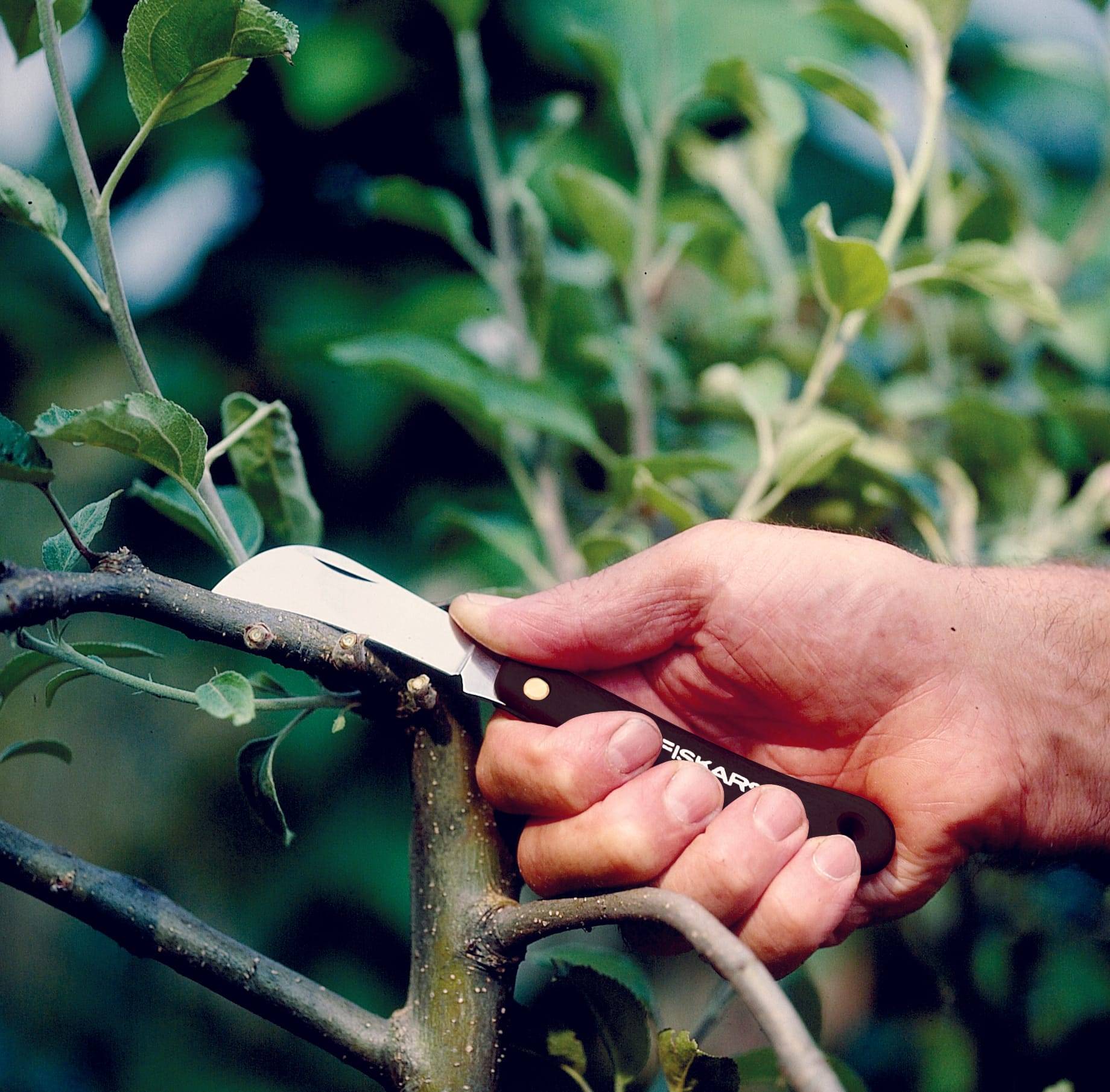 Fiskars - Cuchillo Serpeta - FISKARS - Imagen 2