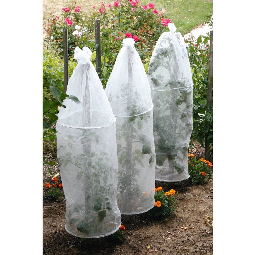 Nortène - Housse de protection pour tomates lot de 3 H. 150 x Ø 40 cm – Nortène - Imagen 5