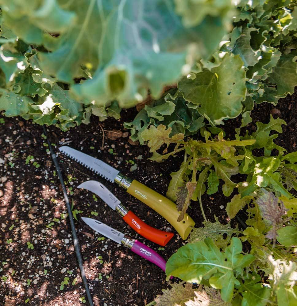 Coffret 3 outils jardinier charme couleurs assorties – OPINEL - Image 1