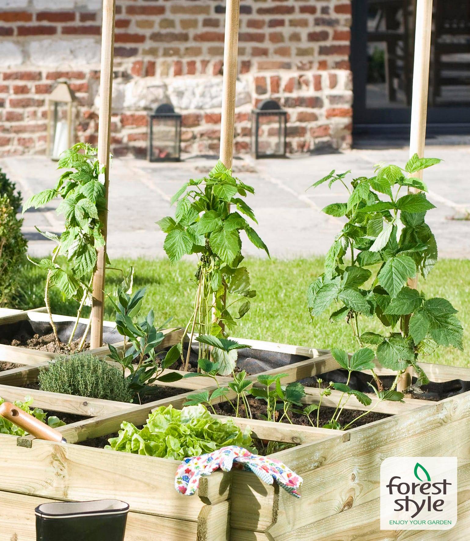 Forest Style - Tuteurs Tomates Carrés - L.150 x l.2 x H.150 cm - Image 2