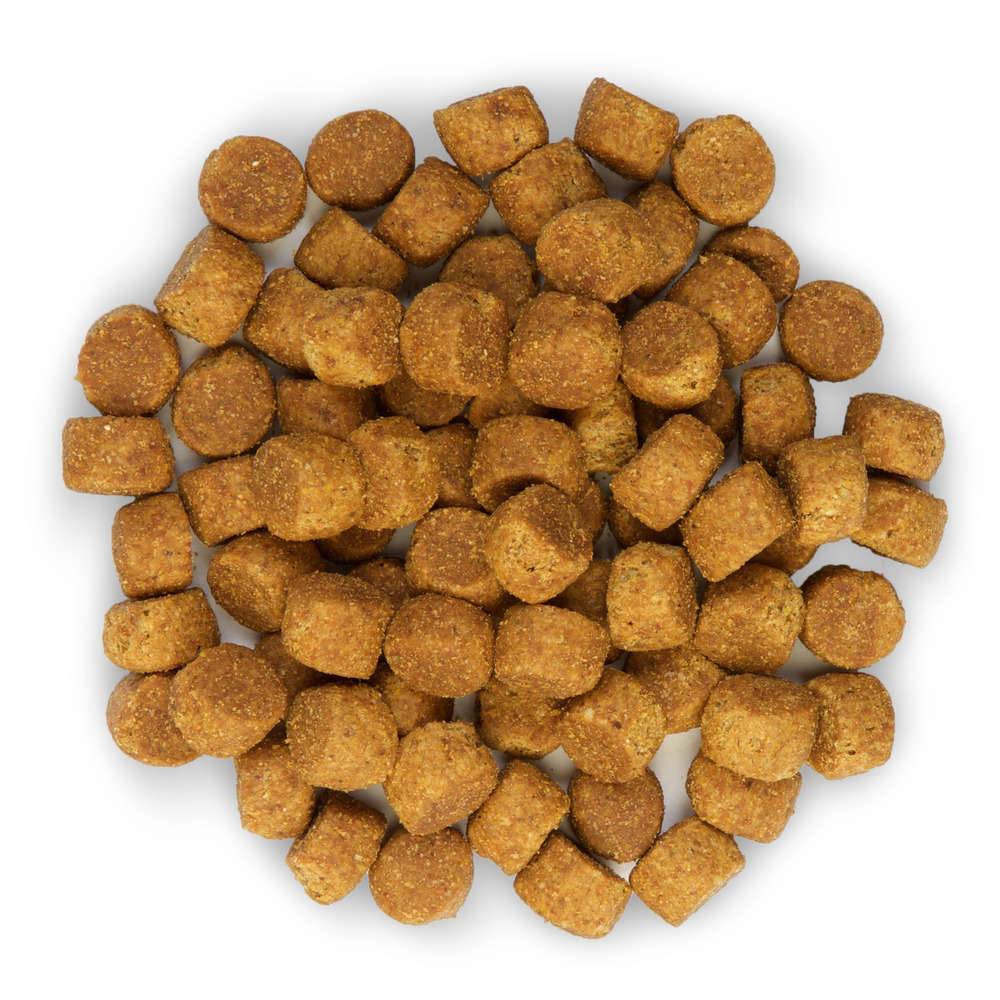 Science plan - Croquettes Chiot Poulet – HILL'S SCIENCE PLAN - Image 3