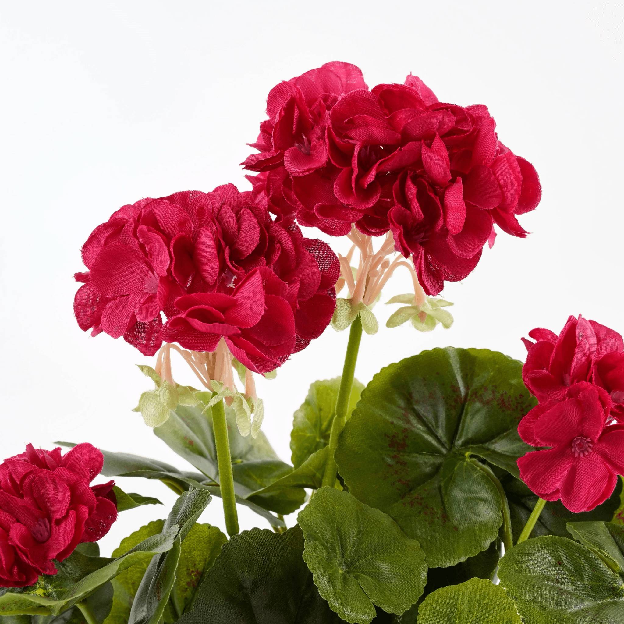 Mica Decorations - Géranium rose foncé artificiel en pot H.34 x Ø 20 cm - Image 2