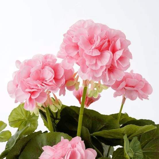 Mica Decorations - Géranium rose artificiel en pot H.34 x Ø 20 cm - Image 2