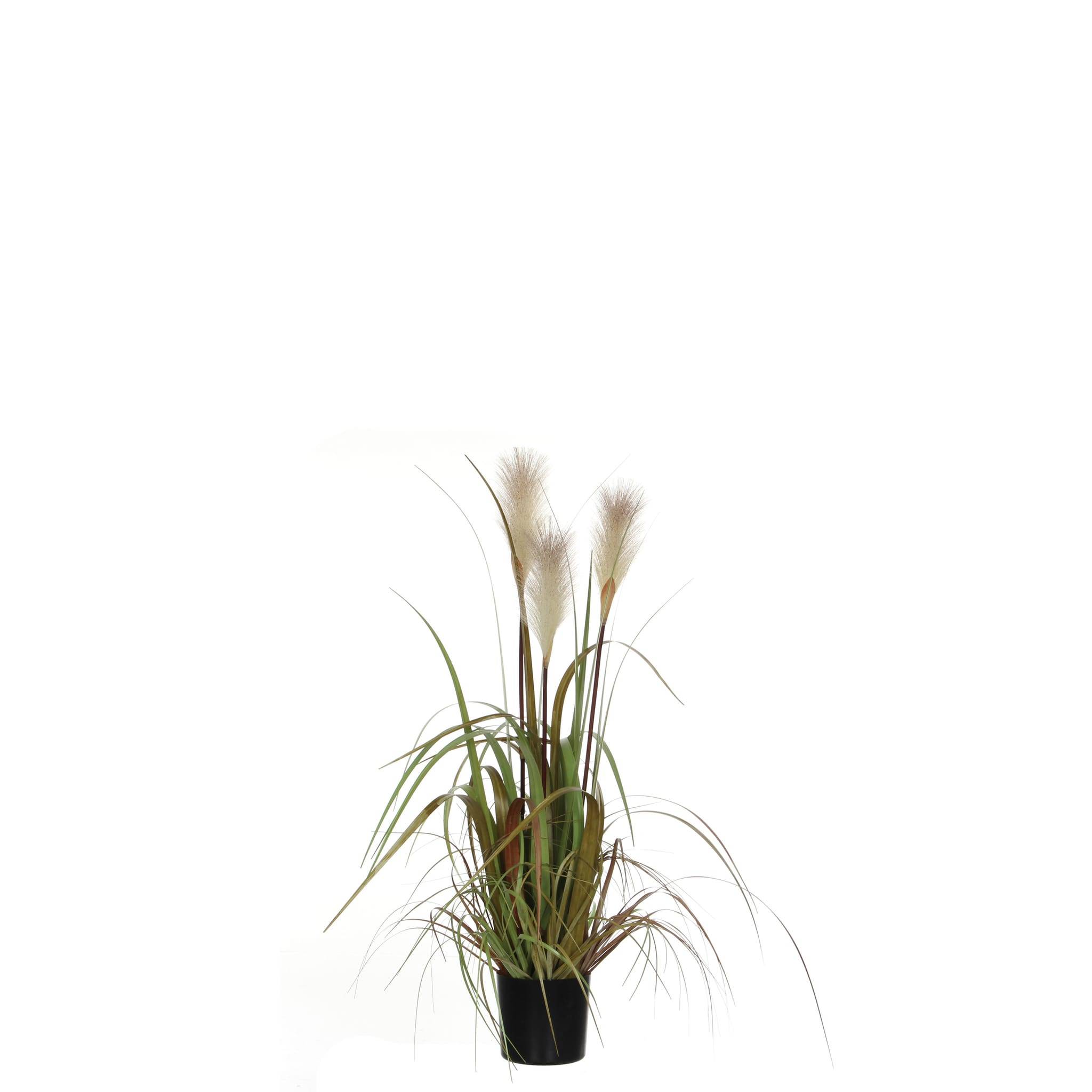 Mica Decorations - Plante Artificielle Herbe de Pampa - MICA DECORATIONS - Imagen 1