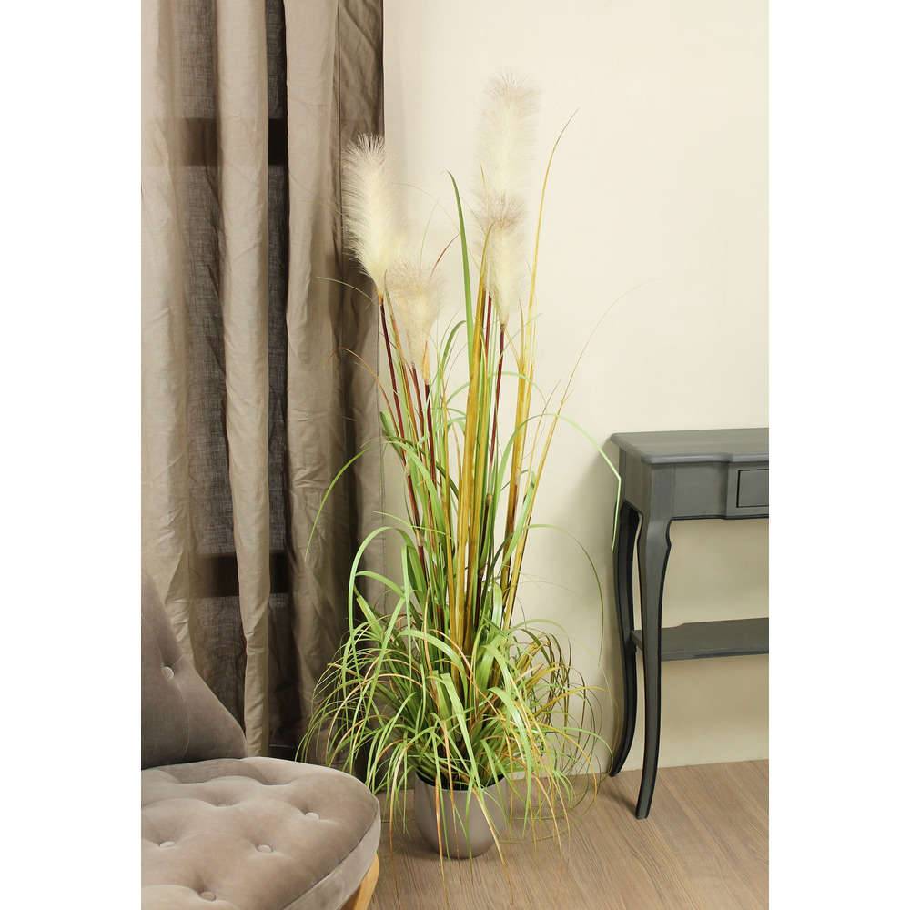 Herbe Panachée Foxtail - MICA - Image 2