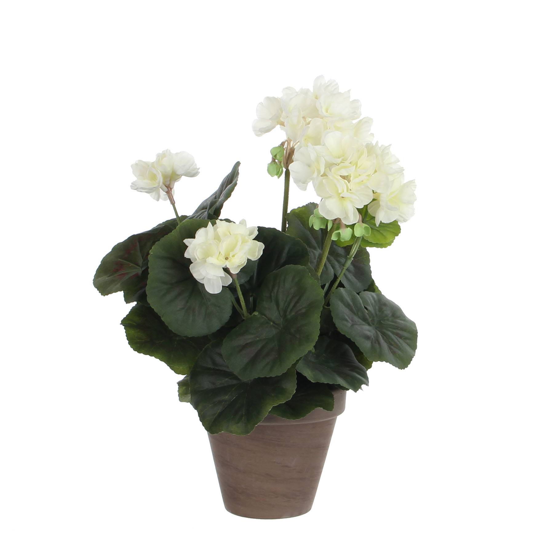 Mica Decorations - Géranium Crème Artificiel en pot Stan gris H.34 x Ø 20 cm