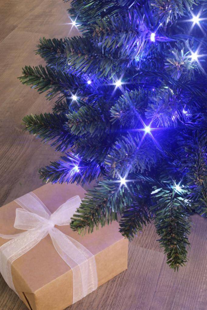 Blachere Illumination - Guirlande LED Bleu et blanc L.8 m - Blachere Illumination - Image 5