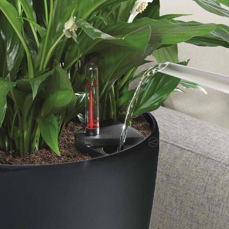Jardinière Classico LS plastique charbon métallisé Ø35xH.32,5 cm - Lechuza - Imagen 1