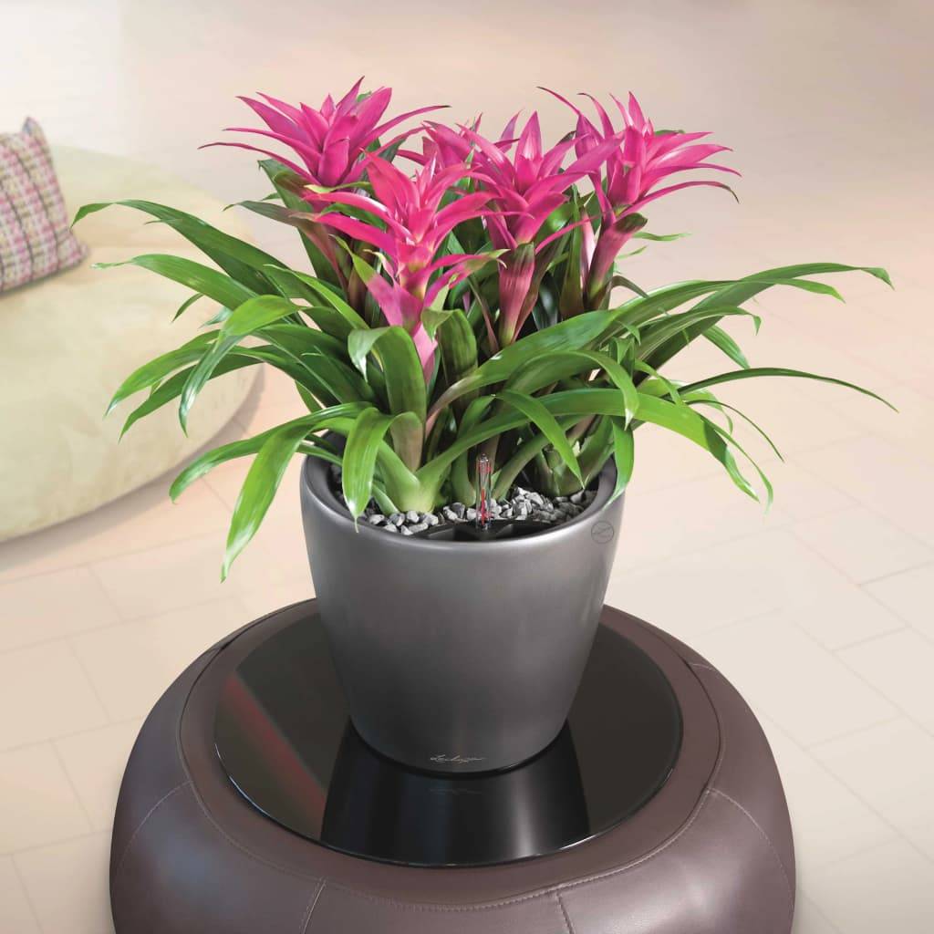 Jardinière Classico LS plastique charbon métallisé Ø35xH.32,5 cm - Lechuza - Imagen 8