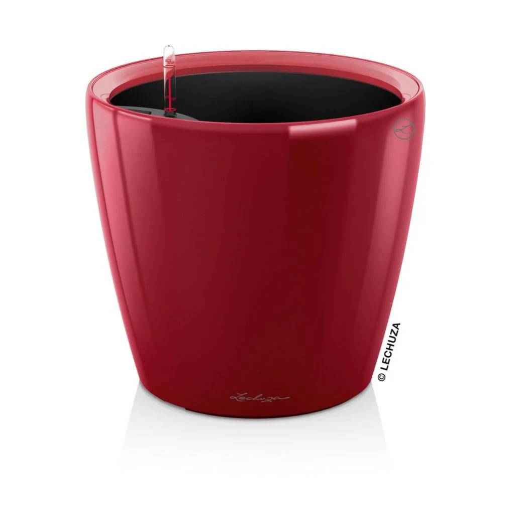 Lechuza - Maceta Classico Premium - LECHUZA - Imagen 2