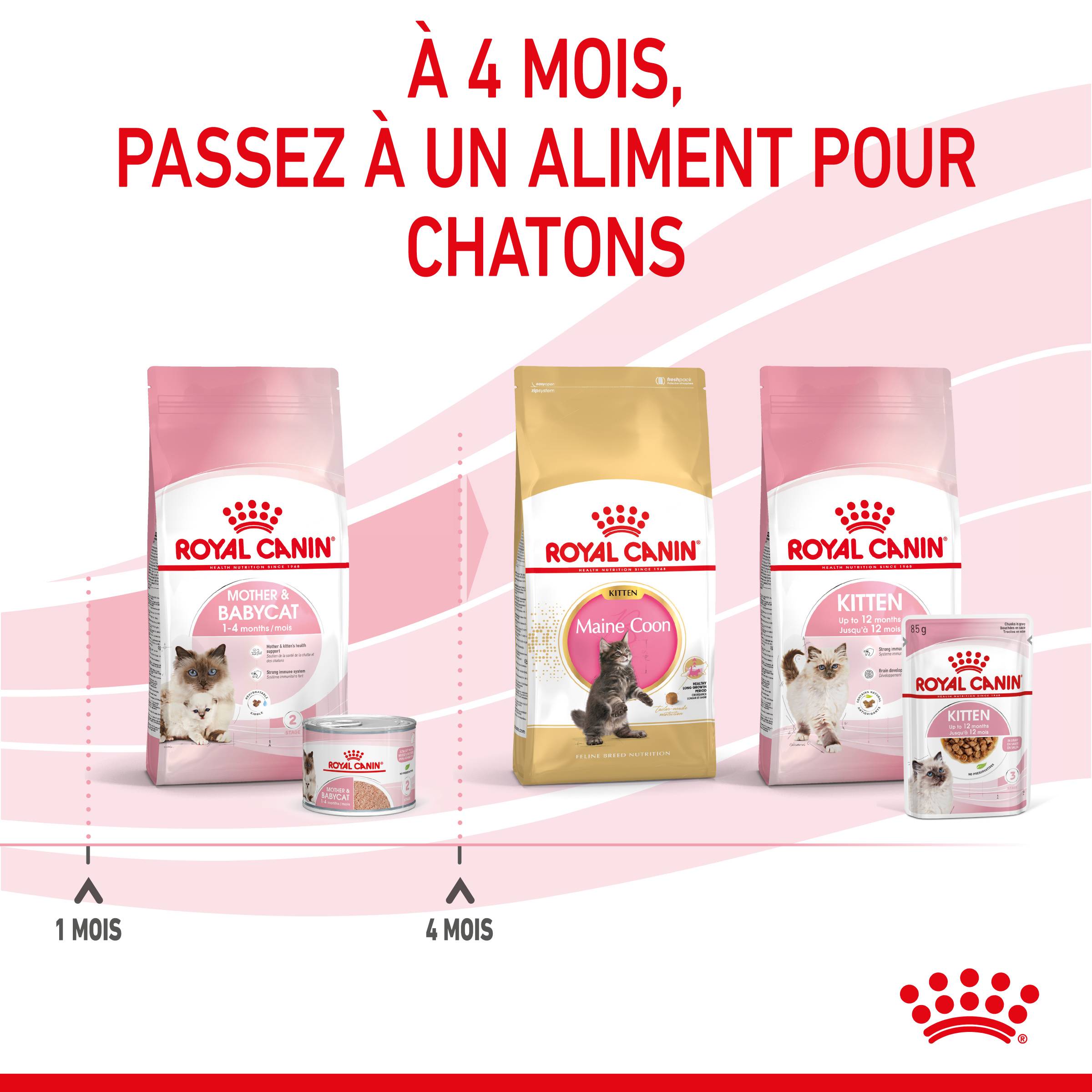 Royal Canin - Mousse pour chatons et chattes - ROYAL CANIN - Image 8