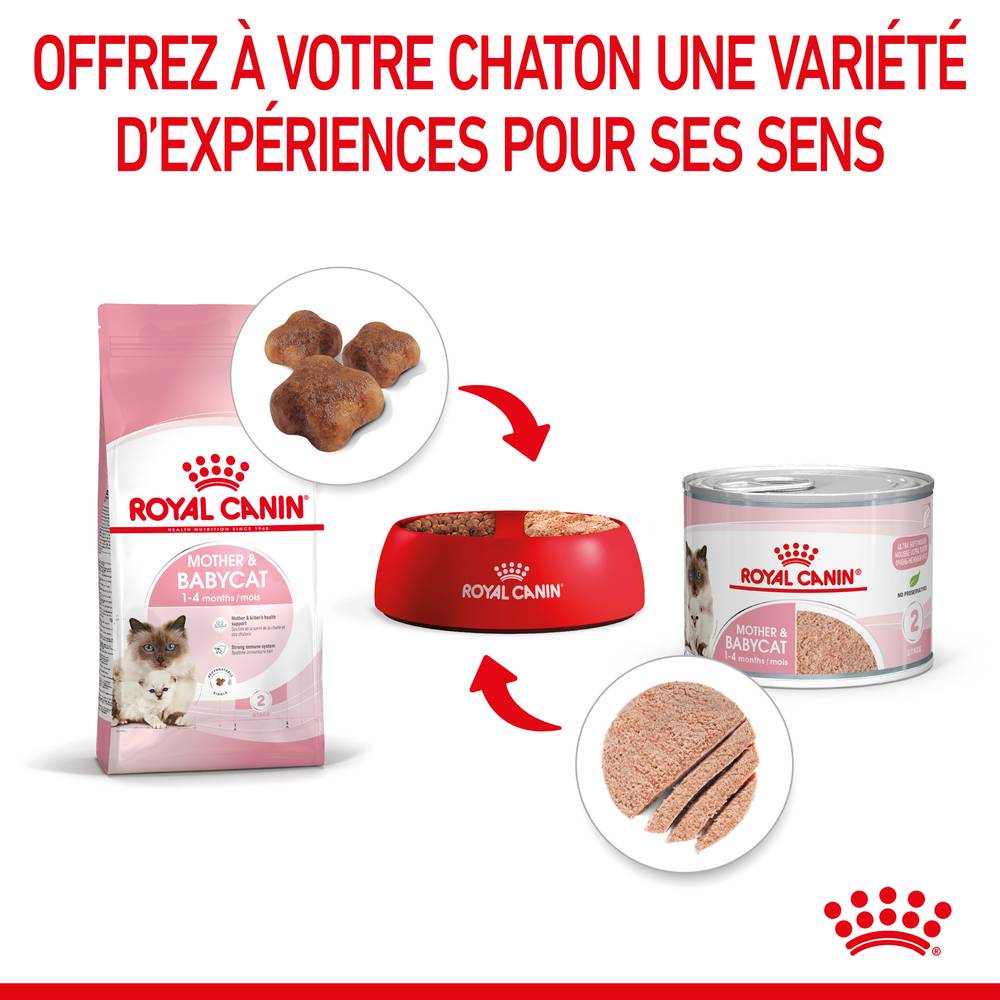 Royal Canin - Mousse pour chatons et chattes - ROYAL CANIN - Image 14
