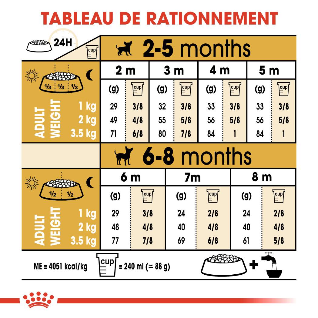 Royal Canin - Croquettes pour chiot Chihuahua - ROYAL CANIN - Image 5