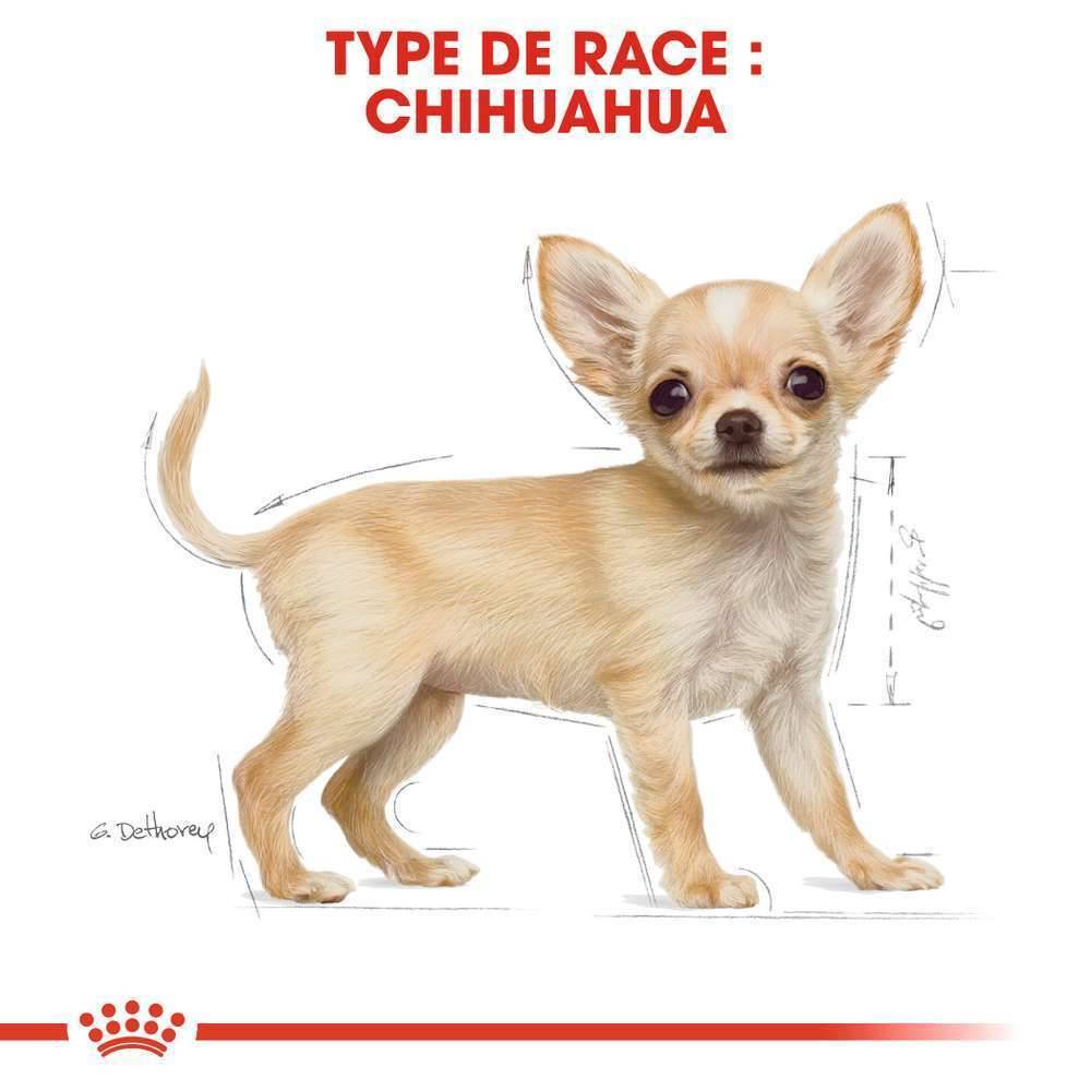 Royal Canin - Croquettes Chiot ROYAL CANIN - Image 5
