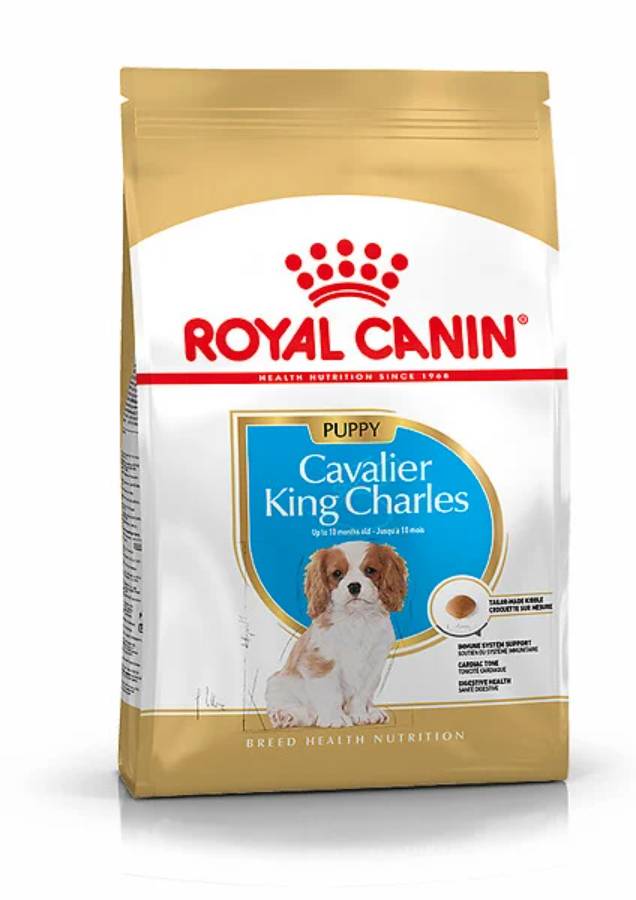 Royal Canin - Croquettes chiot Cavalier King Charles Junior – ROYAL CANIN - Image 1