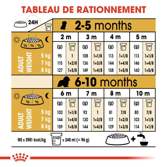 Royal Canin - Croquettes chiot Cavalier King Charles Junior – ROYAL CANIN - Image 5
