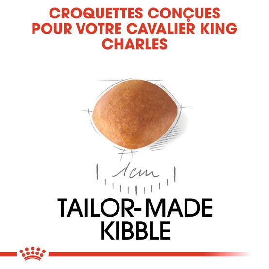 Royal Canin - Croquettes chiot Cavalier King Charles Junior – ROYAL CANIN - Image 6