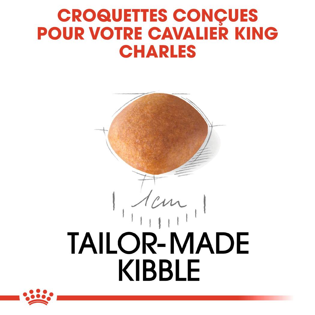 Royal Canin - Croquettes chiot Cavalier King Charles Junior – ROYAL CANIN - Image 6