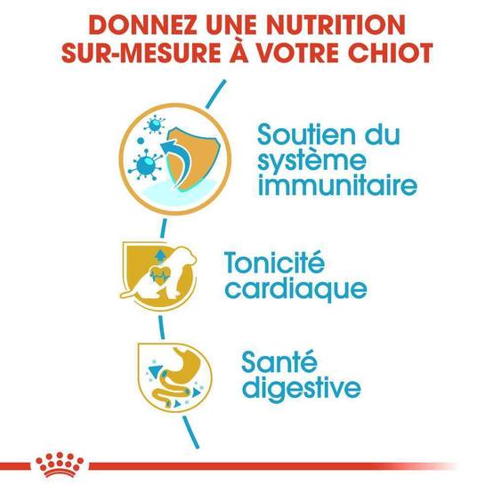 Royal Canin - Croquettes chiot Cavalier King Charles Junior – ROYAL CANIN - Image 15
