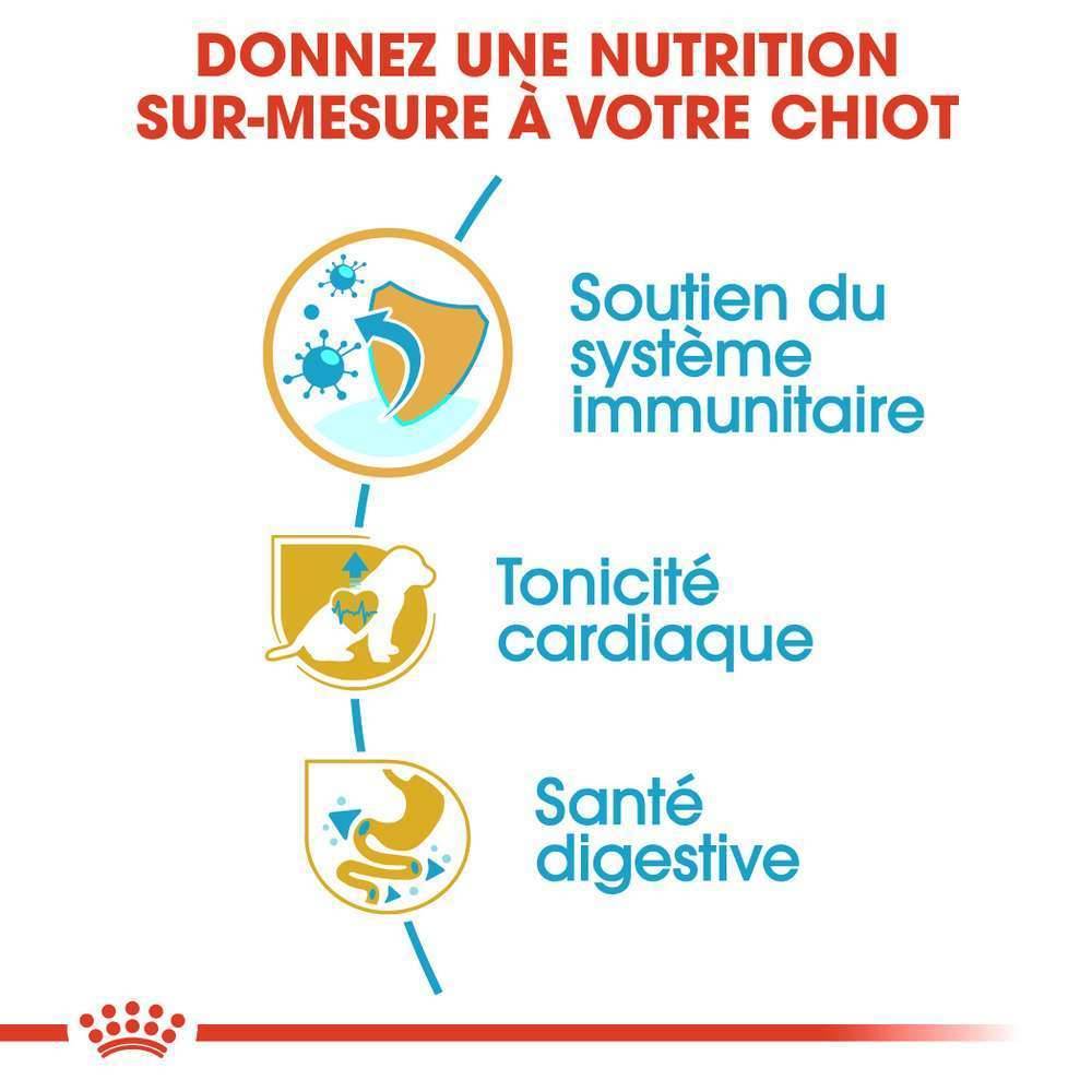 Royal Canin - Croquettes chiot Cavalier King Charles Junior – ROYAL CANIN - Image 15