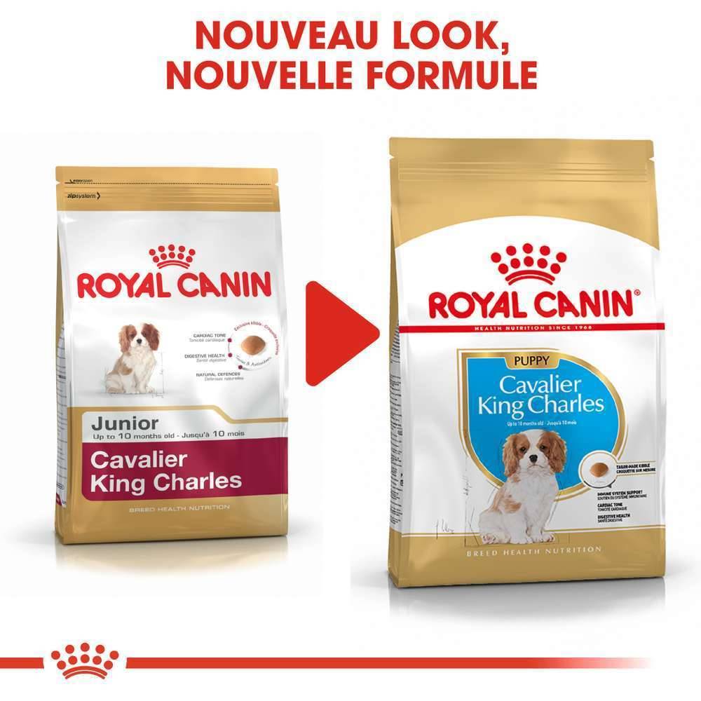 Royal Canin - Croquettes chiot Cavalier King Charles Junior – ROYAL CANIN - Image 14