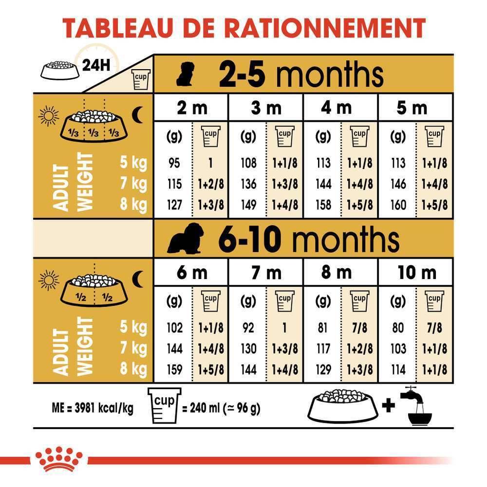 Royal Canin - Croquettes chiot Cavalier King Charles Junior – ROYAL CANIN - Image 11