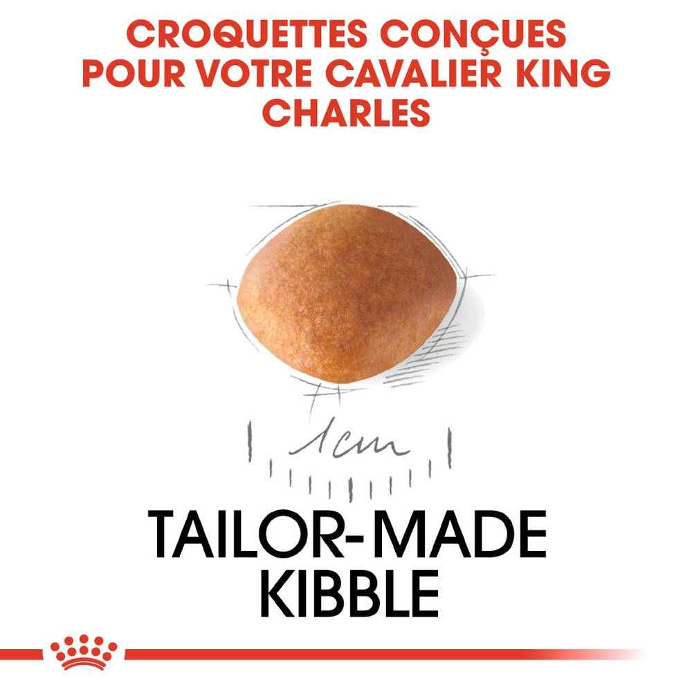 Royal Canin - Croquettes chiot Cavalier King Charles Junior – ROYAL CANIN - Image 13
