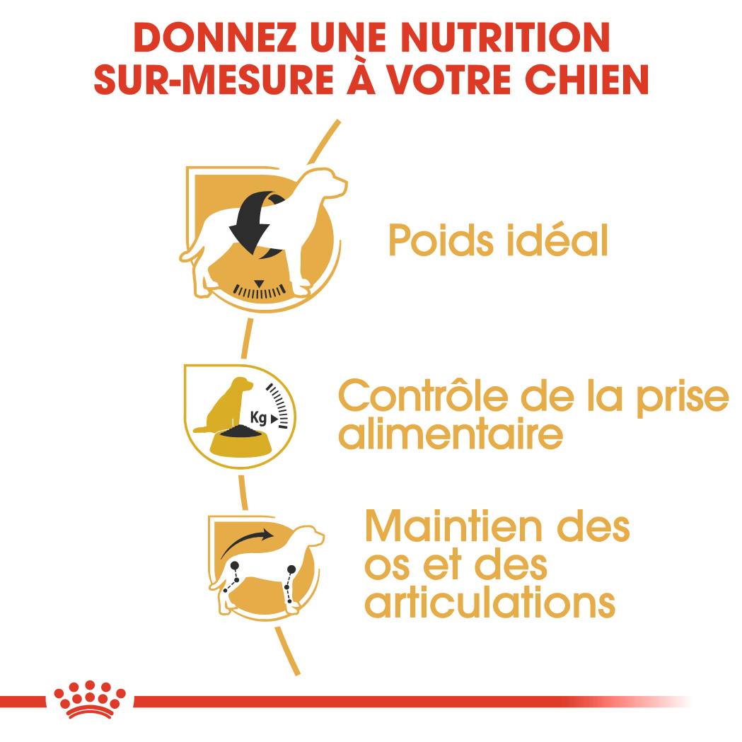 Royal Canin - Croquettes Chien Beagle Adult – ROYAL CANIN - Image 2