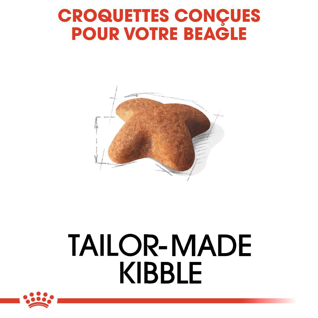 Royal Canin - Croquettes Chien Beagle Adult – ROYAL CANIN - Image 4