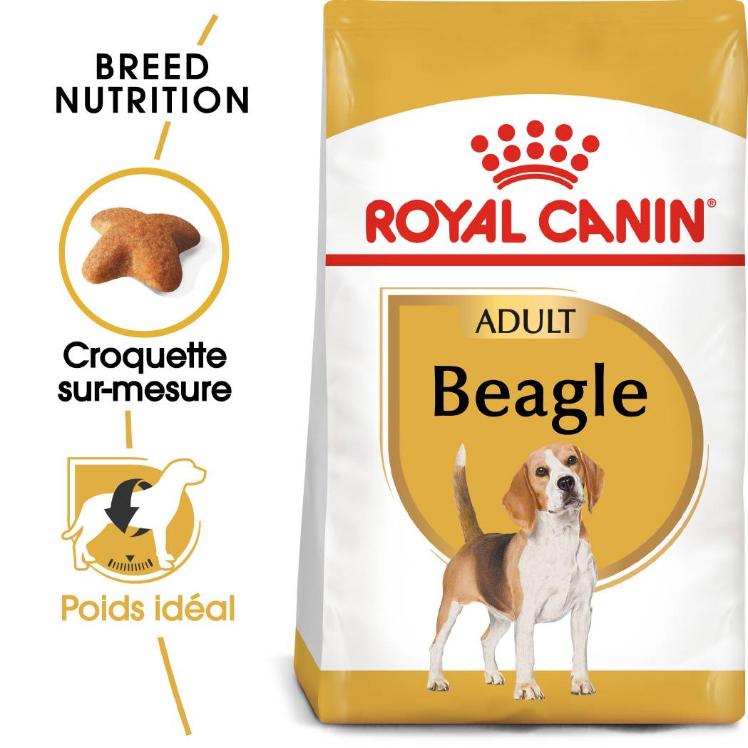 Royal Canin - Croquettes Chien Beagle Adulte - ROYAL CANIN