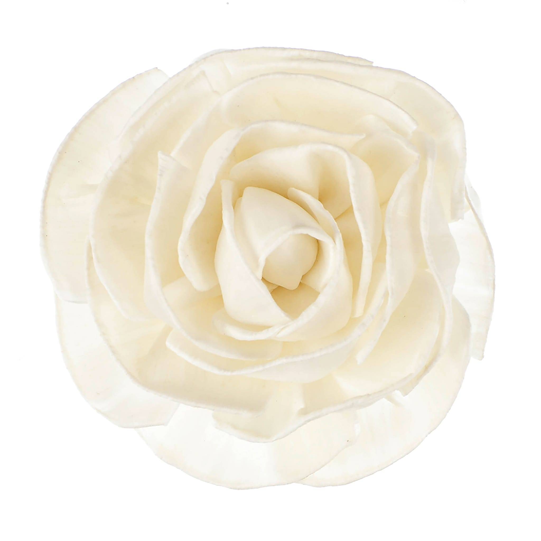 Goa - Fleur de Goatier – GOA