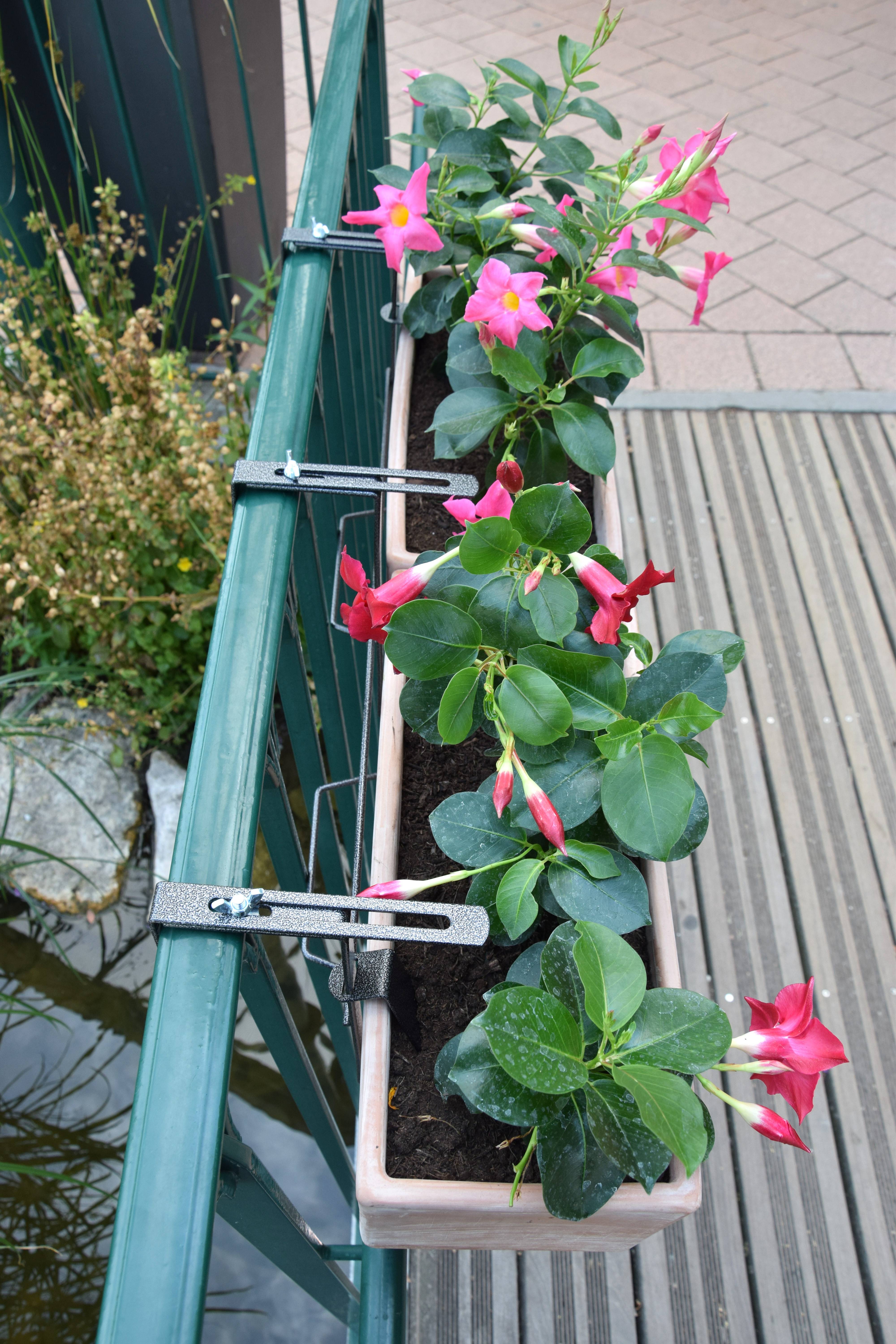 Louis Moulin - Support de Jardinière - LOUIS MOULIN - Image 3