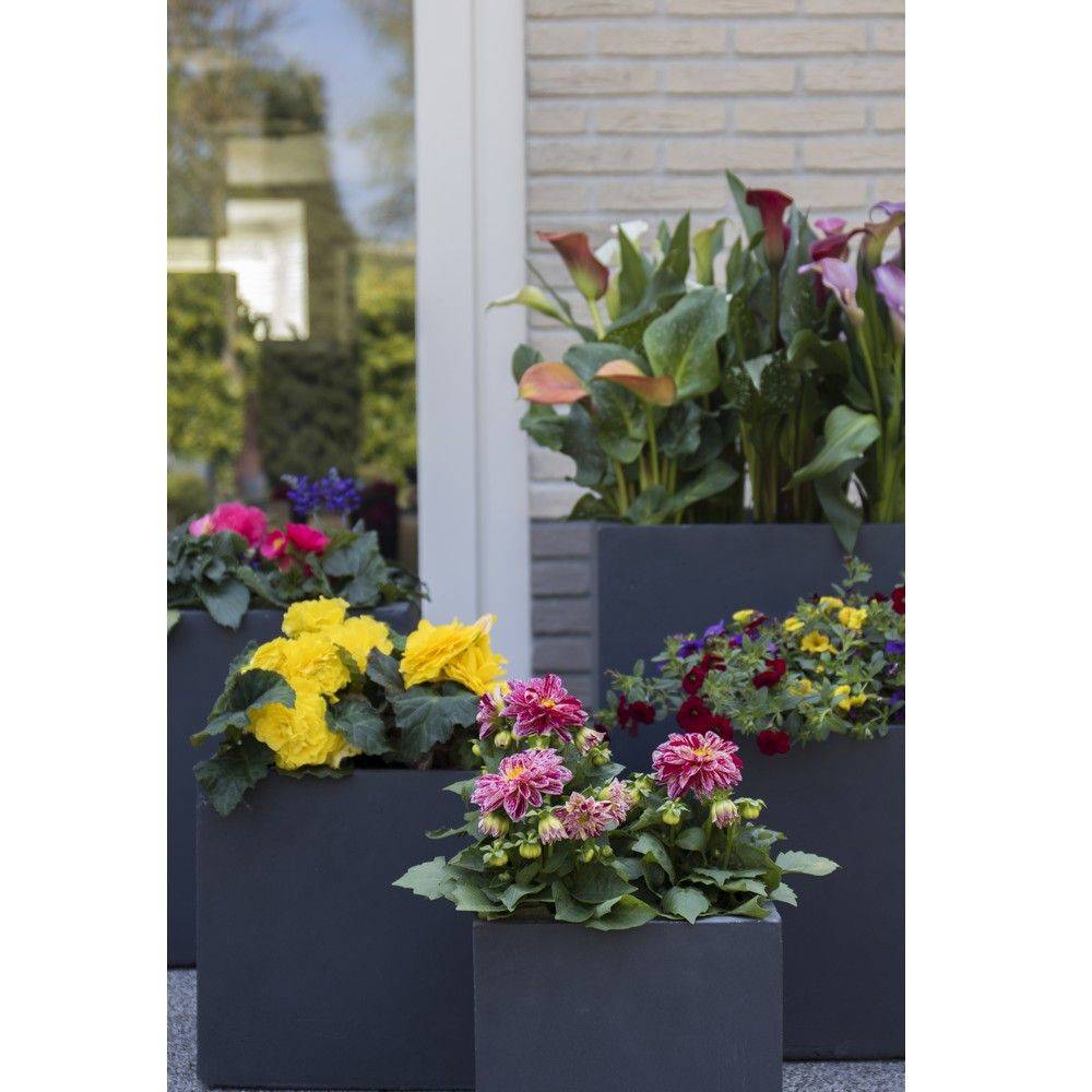Bac à fleurs fibre de terre L55 H46 cm anthracite - Imagen 2