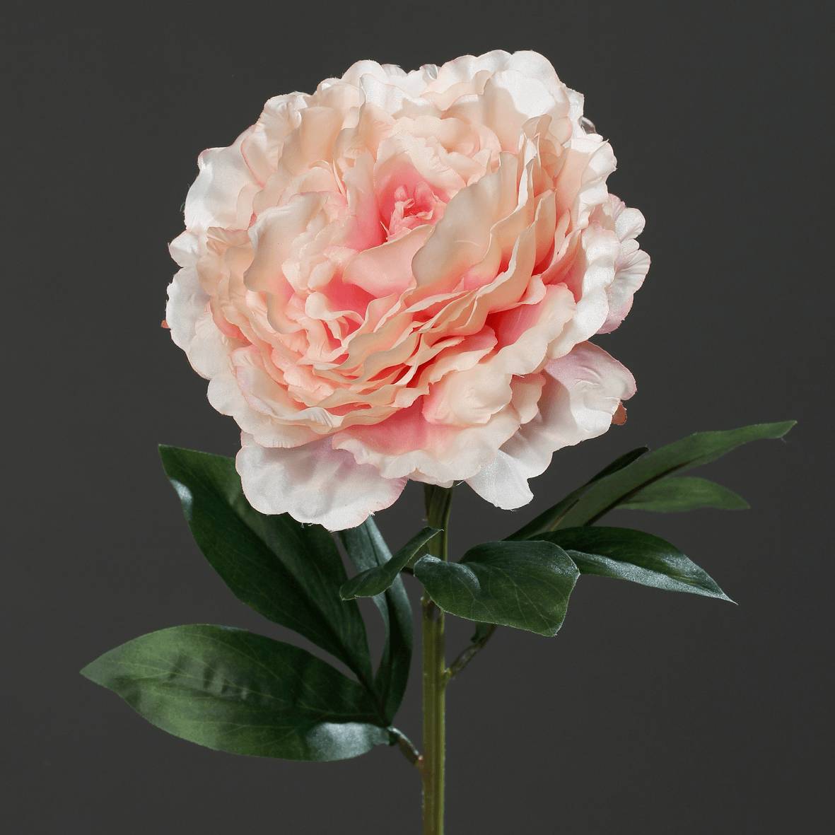 DPI - Pivoine artificielle rose H.63 cm